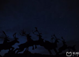 乌兰巴托的夜图片